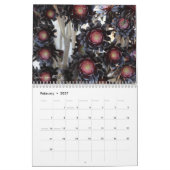 Debra Lee Baldwin's Succulent Photos 2015 Calendar Kalender (Feb 2027)