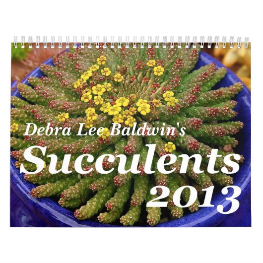Debra Lee Baldwin's Succulents 2013 Calendar Kalender (Hoes)
