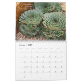 Debra Lee Baldwin's Succulents 2013 Calendar Kalender (Jan 2027)