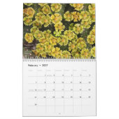 Debra Lee Baldwin's Succulents 2013 Calendar Kalender (Feb 2027)