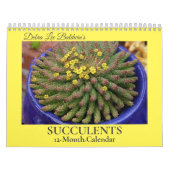 Debra Lee Baldwin's Succulents-2 12 maanden Kalender (Hoes)