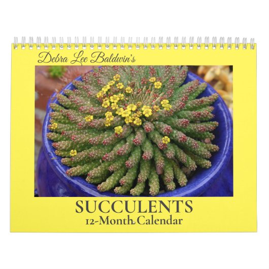 Debra Lee Baldwin's Succulents-2 12 maanden Kalender (Hoes)