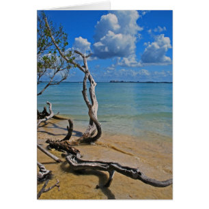 Debris tot Blind pas