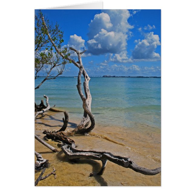 Debris tot Blind pas (Voorkant)