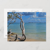 Debris tot Blind pas Briefkaart (Voorkant / Achterkant)