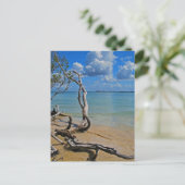 Debris tot Blind pas Briefkaart (Staand voorkant)