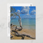 Debris tot Blind pas Briefkaart (Voorkant / Achterkant)