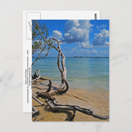 Debris tot Blind pas Briefkaart (Voorkant / Achterkant)