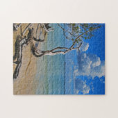 Debris tot Blind pas Legpuzzel (Horizontaal)