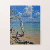 Debris tot Blind pas Legpuzzel (Verticaal)