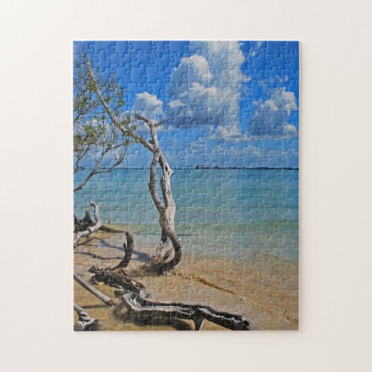 Debris tot Blind pas Legpuzzel (Verticaal)