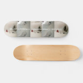 Deca-DT Schaats Board Mannequin Style Skateboard (Horizontaal)