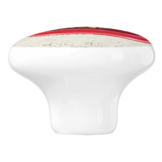 Decadent Ice Cream Sundae Brownie Drawer Trekt Keramische Knop (Zijkant)