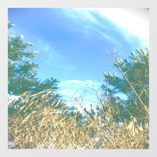 DECAL WINDOW CLING (Vel)