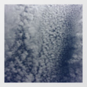 DECAL WINDOW CLING   (Vel)