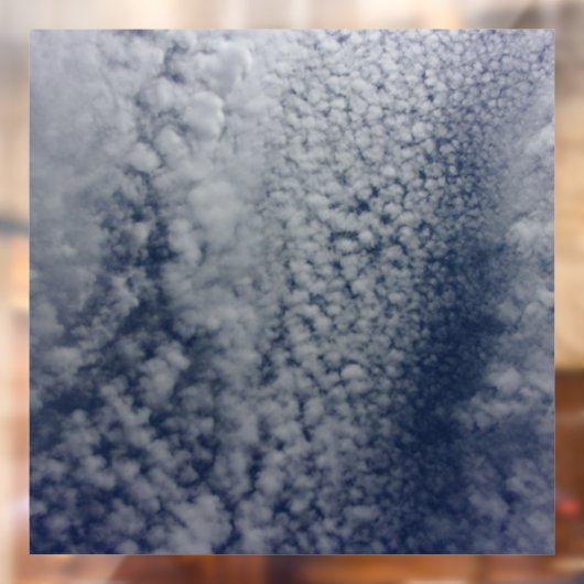 DECAL WINDOW CLING   (Vel 2)