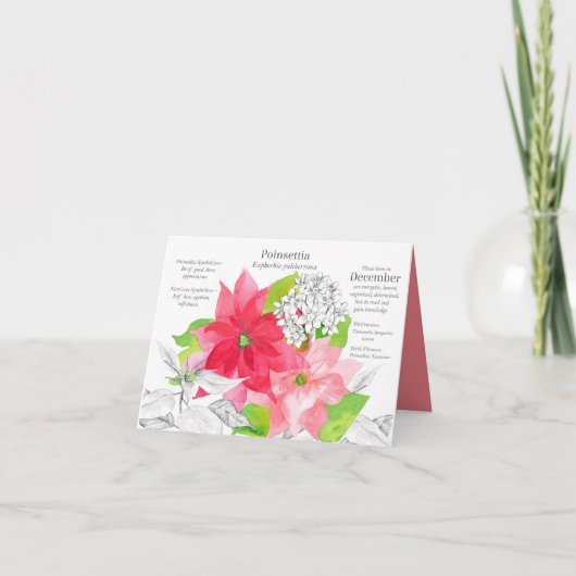 December 2012 - verjaardag van Poinsettia Narcissu Kaart (Voorkant)