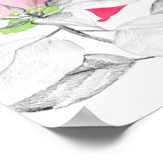 December Birth Flower Language of Flowers Poster (Hoek)