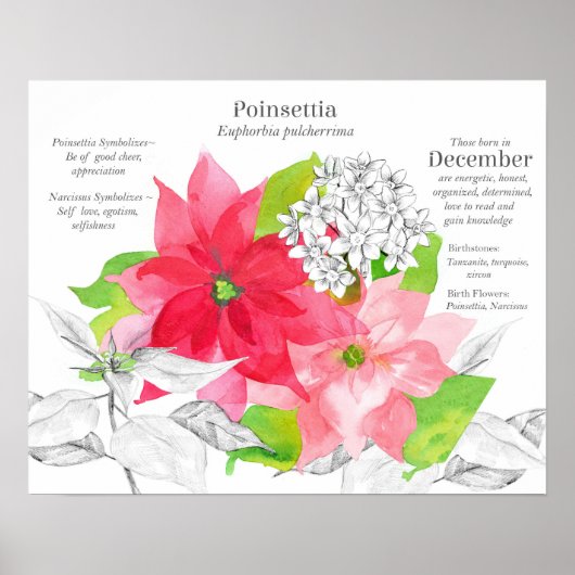 December Birth Flower Language of Flowers Poster (Voorkant)