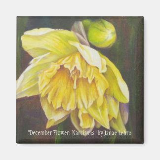 "December bloem: Narcissus" van Janae Lehto Magneet