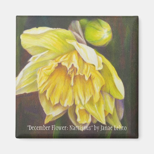 "December bloem: Narcissus" van Janae Lehto Magneet (Voorkant)