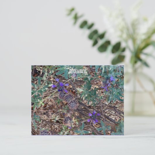 DECEMBER BRIEFKAART (Staand voorkant)