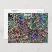 DECEMBER BRIEFKAART (Voorkant / Achterkant)