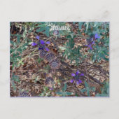 DECEMBER BRIEFKAART (Voorkant)