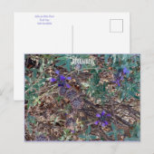 DECEMBER BRIEFKAART (Voorkant / Achterkant)