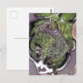 december briefkaart (Voorkant / Achterkant)