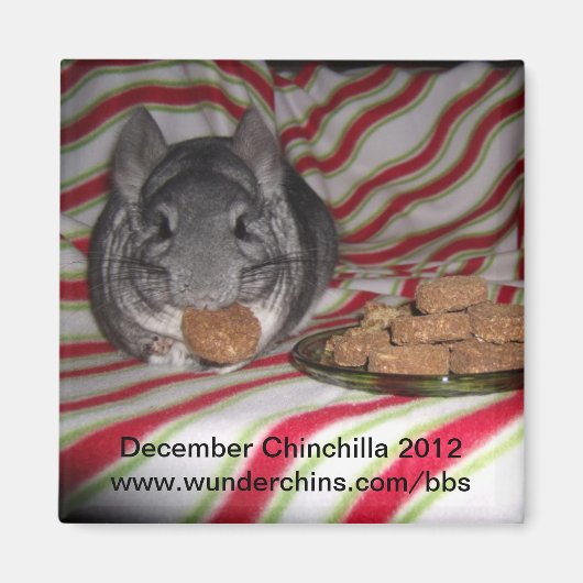 December chinchilla 2012 magneet (Voorkant)