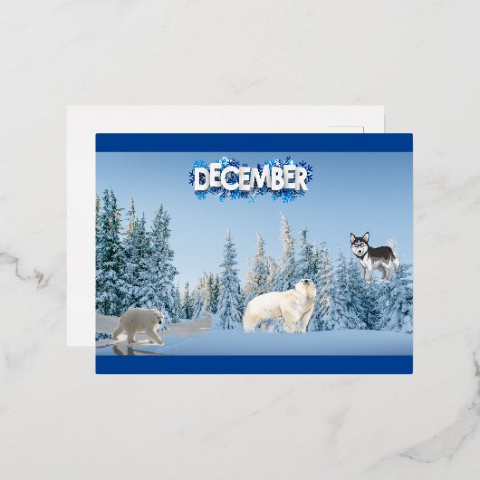 december folie feestdagen briefkaart (Voorkant / Achterkant)