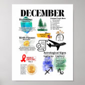 December Fun Facts Poster (Voorkant)