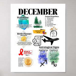 December Fun Facts Poster