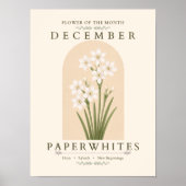 December Geboortebloem Paperwhites Poster (Voorkant)