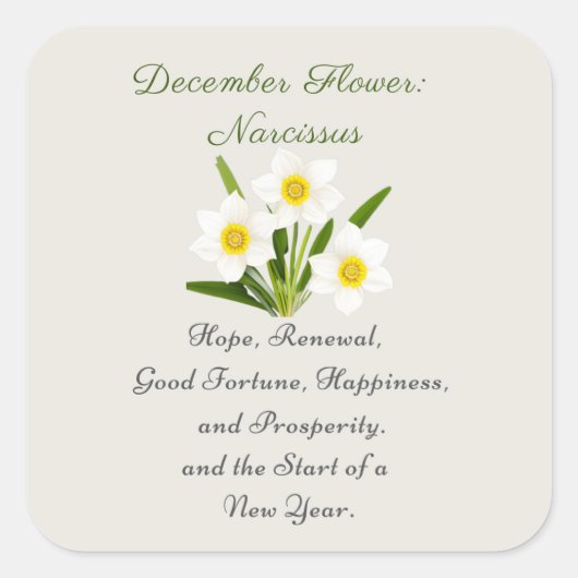 December Geboortemaand Bloem Narcissus Elegant Vierkante Sticker (Voorkant)