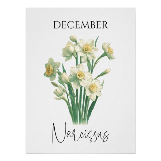 December Geboortemaand Narcissus Bloemstuk Perfect Poster (Voorkant)