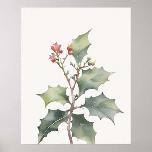 December Holly Geboorte Bloem Poster (Voorkant)