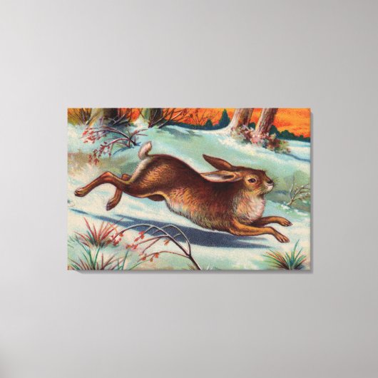 December Konijn Ingepakt Canvas Print (Voorkant)