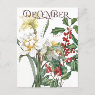 December Maand Bloemen Narcissus Holly Fancy Briefkaart