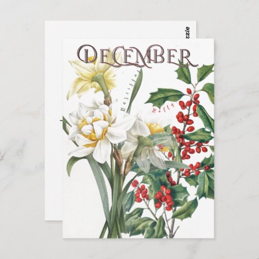 December Maand Bloemen Narcissus Holly Fancy Briefkaart (Voorkant / Achterkant)