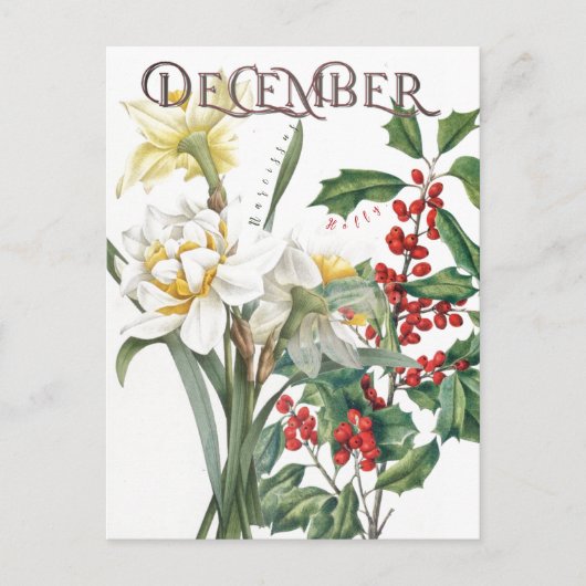 December Maand Bloemen Narcissus Holly Fancy Briefkaart (Voorkant)