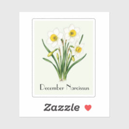 December Narcis Bloemen Sticker