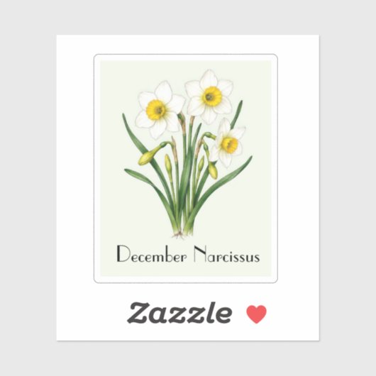 December Narcis Bloemen Sticker (Vel)