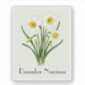 December Narcis Bloemen Sticker (Voorkant)