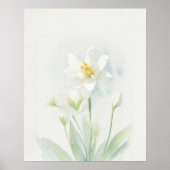 December Narcissus Geboorte Bloem Poster (Voorkant)