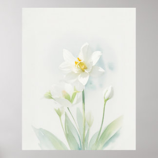 December Narcissus Geboorte Bloem Poster
