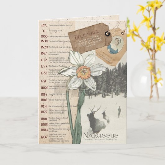 December Narcissus Verjaardag Kaart (Gele Bloem)