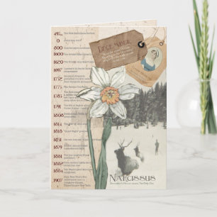 December Narcissus Verjaardag Kaart