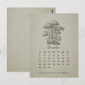 December  Paddestoel  2024 Kaart (Voorkant / Achterkant)